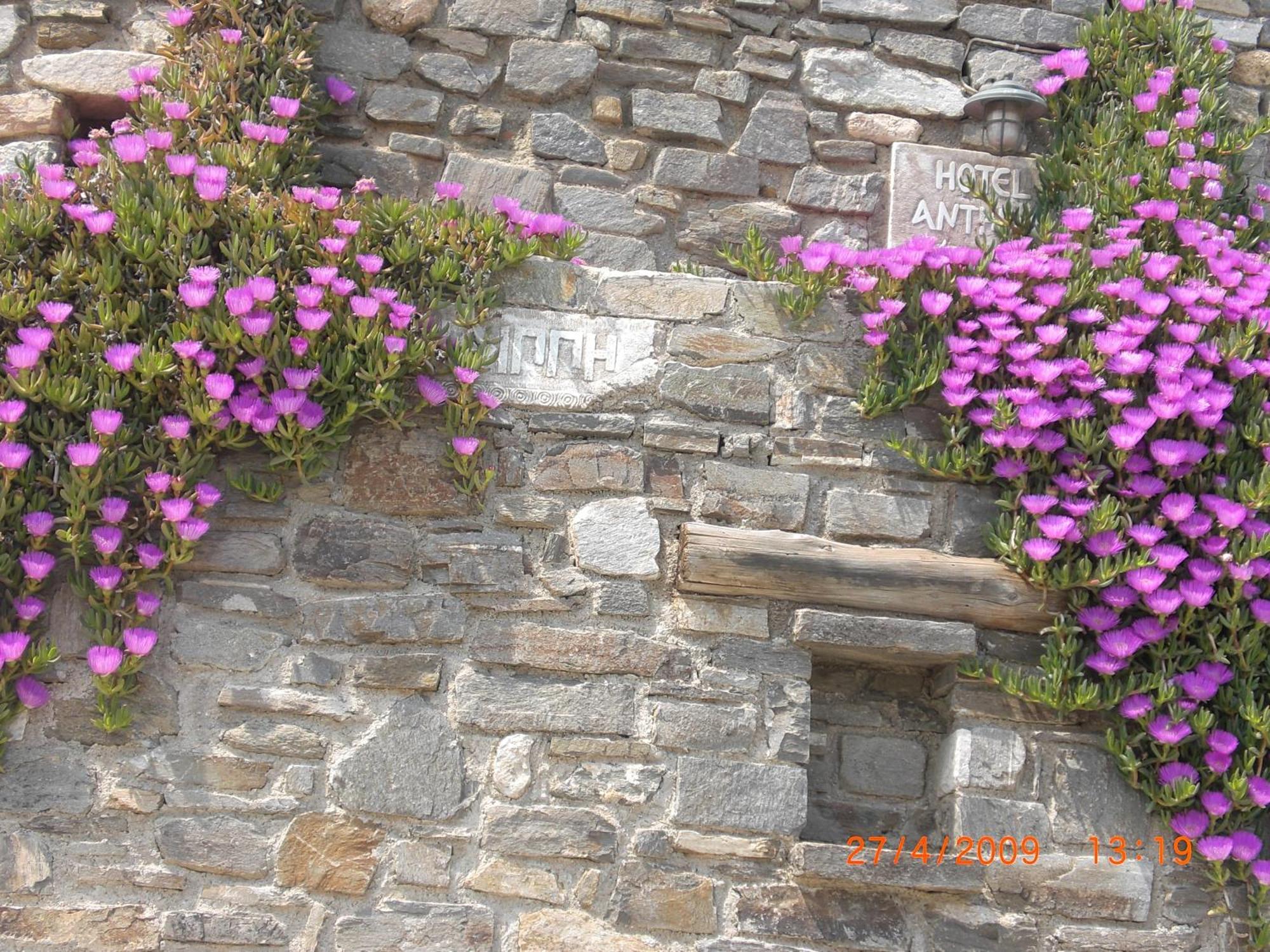 Aparthotel Anthippi (Adults Only) Páros Zewnętrze zdjęcie